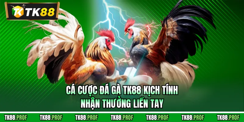 Cá cược đá gà TK88 kịch tính, nhận thưởng liền tay