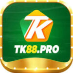 tk88.prof